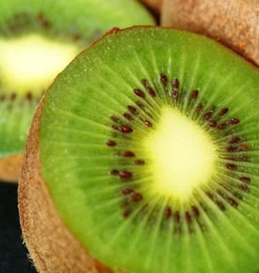 Selbstfruchtende Kiwi Solo 80-100cm - Actinidia arguta