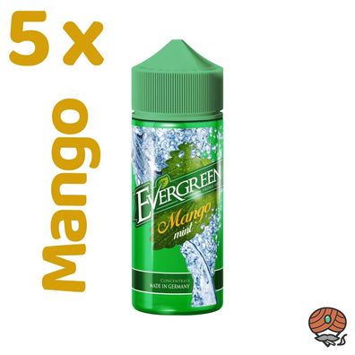 Evergreen Mango Mint, Longfill Aroma für E-Zigaretten 5x 8ml