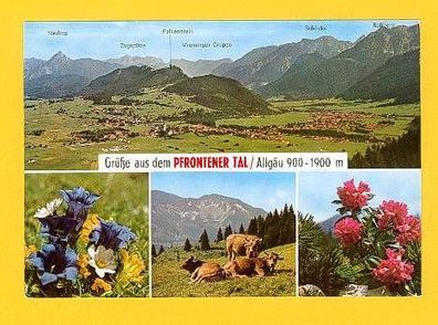 Postkarte - Pfrontener Tal-Allgäu, ungebraucht
