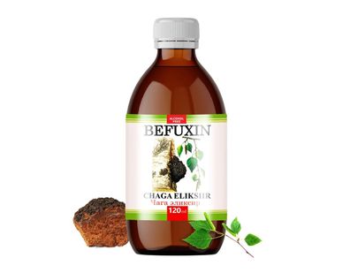 Befuxin Chaga Elixier Alkoholfrei Tinktur Trinkkur sibirische Birke 120 ml