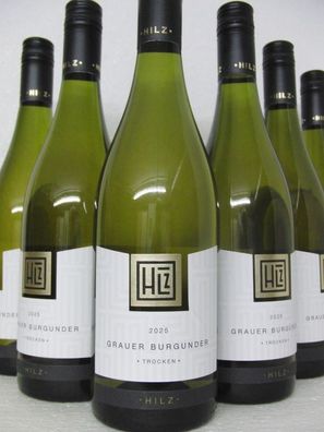 6 FL 2025 Grauburgunder trocken Weingut Klaus Hilz Dirmstein Pfalz
