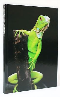 ADINA Notizbuch A4 blanko Leguan fester Deckel