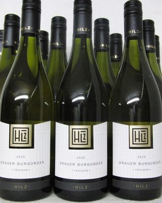 12 FL 2025 Grauburgunder Weingut Klaus Hilz Pfalz Versand kostenlos