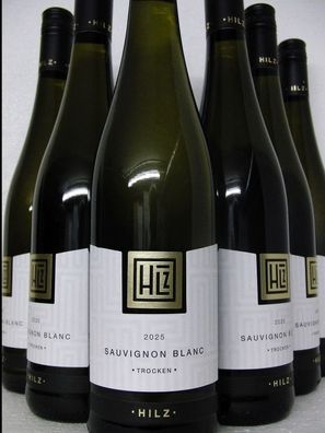 6 FL 2025 Sauvignon Blanc trocken Weingut Klaus Hilz Pfalz Weißwein
