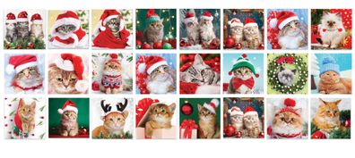 Süße Katzenkinder - Adventskalender