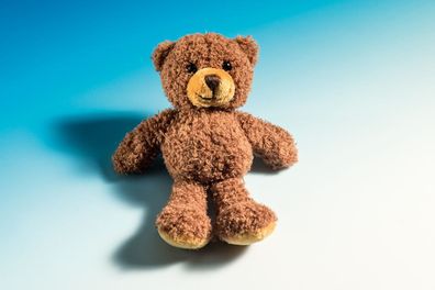 Schaffer Plüschtiere Magnetics Teddy Tom