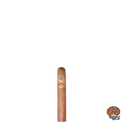 Vegas de Santiago Gran Reserva Robusto Zigarre aus Costa Rica