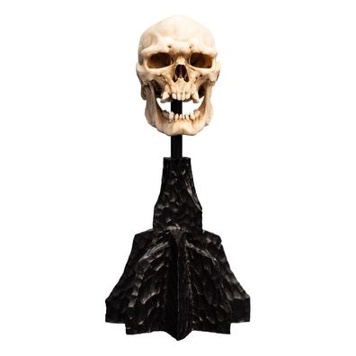 Herr der Ringe Mini Statue Skull of a Mordor Orc 14 cm - Weta