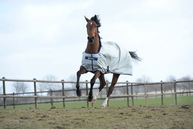 Bucas Power Turnout Light Regendecke - Classic Cut - Länge: 165