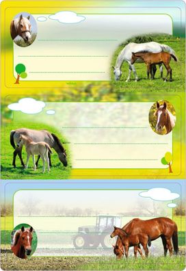HERMA 5568 Buchetiketten zum Beschriften Pferde, 6 Stück, 76 x 35 mm, selbstklebend,