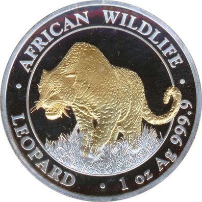 Somalia Republik 2023 - Leopard 1 Oz Silber gilded*