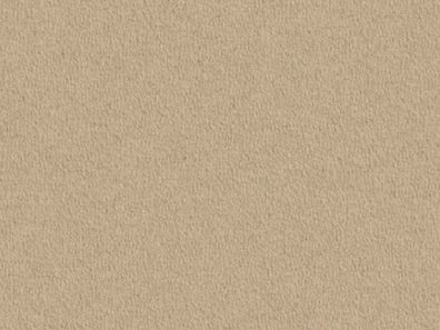 Vorwerk Modena 8A72 Velours 400 oder 500 cm breit - versandkostenfrei ab 5 m²