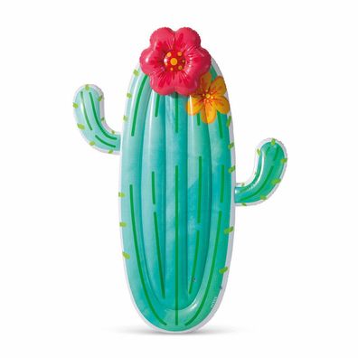 INTEX cactus float
