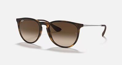 Ray-Ban Erika RB4171 - Havana / Braun Verlauf 5744