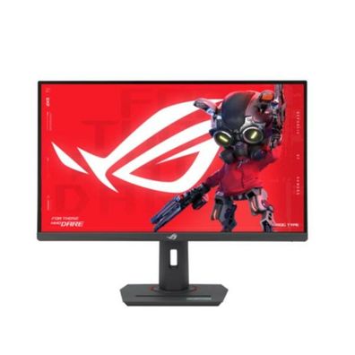 ASUS ROG Strix XG27ACS 68.4cm (16:9) WQHD HDMI DP