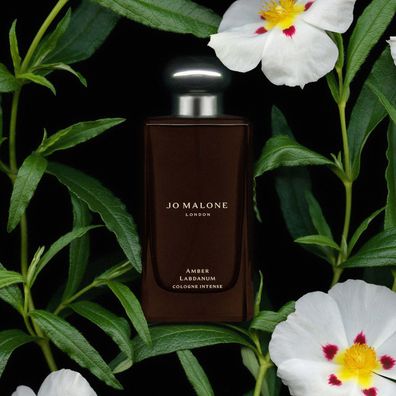 Jo Malone Amber Labdanum - Cologne - Parfumprobe