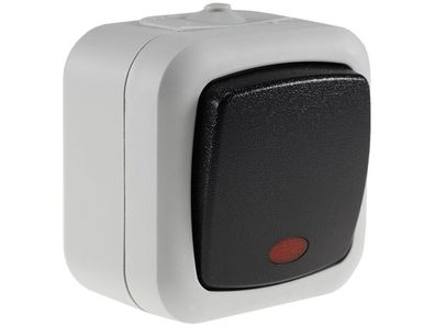 Feuchtraum Kontroll-Schalter, IP44 250V/ 10A, inkl. AP-Rahmen, grau