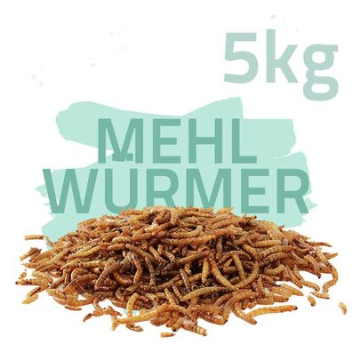 5 kg Mehlwürmer getrocknet - Koifutter, Fische, Nager, Vögel, Reptilien, Koi