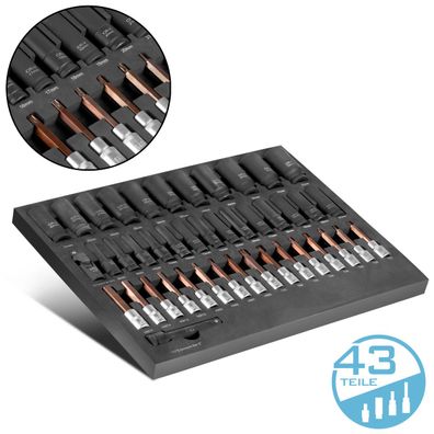 Stahlwerk Werkzeugwageneinlage 43-tlg Steckschlüssel-Set in Schaumstoffeinlage