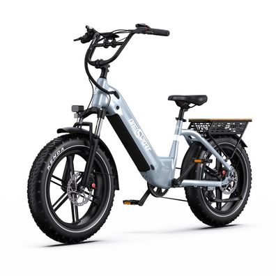 Onesport OT08 Elektrofahrrad, 500-W-Motor, 48-V-18-Ah-Akku, 20-Zoll-Geländereifen