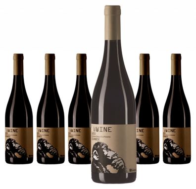 6 x Federici Wwwine Cesanese – 2023