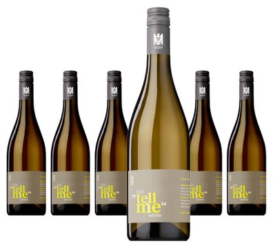 6 x Fürst Castell Cas "tell me" White – 2024