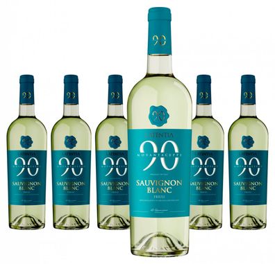 6 x Novantaceppi Sauvignon Blanc Friuli DOC – 2024