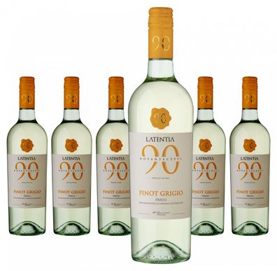 6 x Novantaceppi Pinot Grigio Friuli DOC – 2024