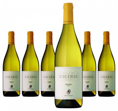 6 x Attems Cicinis – 2024