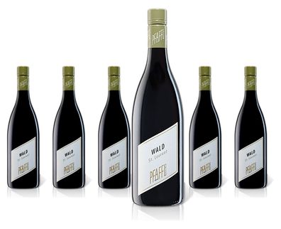 6 x Weingut Pfaffl St. Laurent WALD – 2024