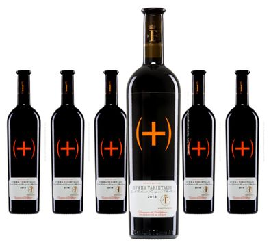 6 x Marqués de Griñón Family Estates Summa Varietalis ( + ) Tinto – 2020
