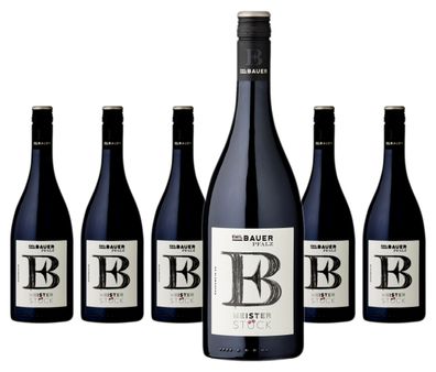 6 x Emil Bauer & Söhne Meisterstück – 2022