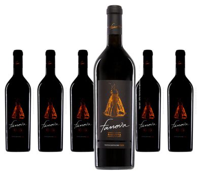 6 x Terrecarsiche1939 Primitivo Fanova Riserva – 2020