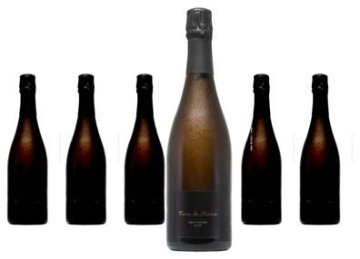 6 x Cava Terra de Marca Brut Nature – 2021
