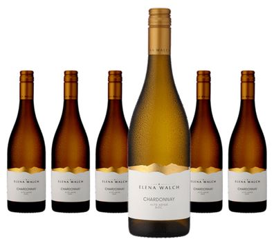 6 x Elena Walch Chardonnay Alto Adige DOC – 2024