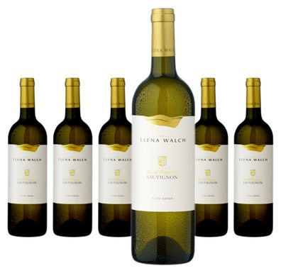 6 x Elena Walch Castel Ringberg Sauvignon – 2023