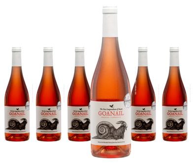 6 x Bodegas San Martín de Unx Goanail – 2024