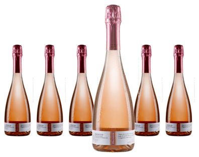 6 x Paladin Prosecco Millesimato Brut Rosé – 2024