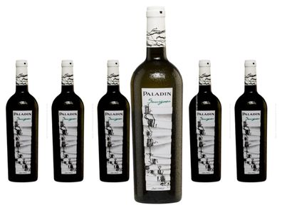 6 x Paladin Sauvignon – 2024