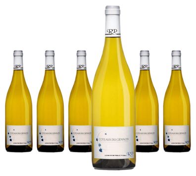 6 x Domaine Raimbault-Pineau Coteaux-du-Giennois Blanc – 2023