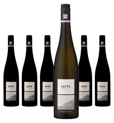 6 x LEITZ Magic Mountain Riesling QbA trocken LEITZ – 2024