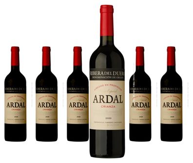 6 x Bodegas Balbás Ardal Vendimia Seleccionada – 2021