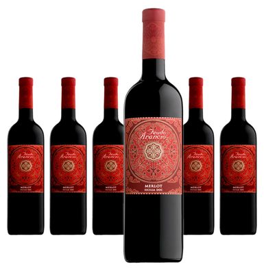 6 x Feudo Arancio Merlot Sicilia – 2023