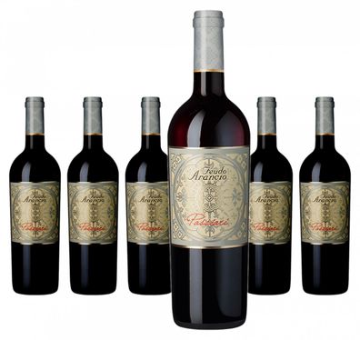 6 x Feudo Arancio Passiari – 2023