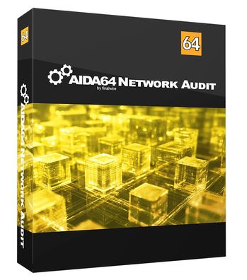 AIDA64 Network Audit Lifetime - 1?PC (Windows Key)