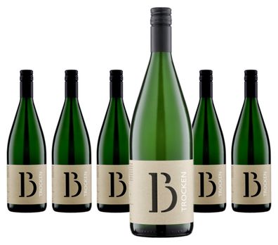 6 x Barth Riesling trocken QbA 1,0 Liter – 2024