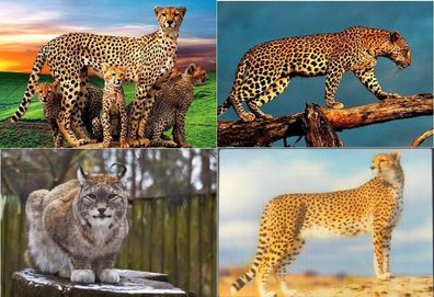 3 D Ansichtskarte Geparde Luchs Postkarte Wackelkarte Hologrammkarte Tiere Zoo
