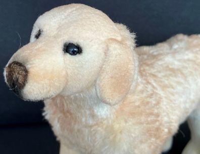 Kösen 6000 Golden Retriever Hund Plüschtier Stofftier Weiß 22cm NEU!