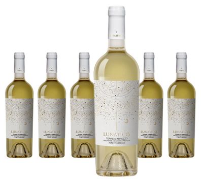 6 x Fantini Lunatico Pinot Grigio – 2025