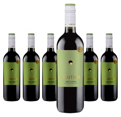 6 x Fantini Pinot Grigio 1 Liter – 2024